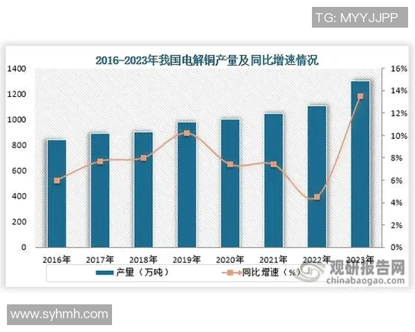 西安排球队实力分析与未来发展前景的深入探讨
