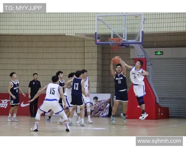 重庆篮球队的灵活性探讨与发展前景分析